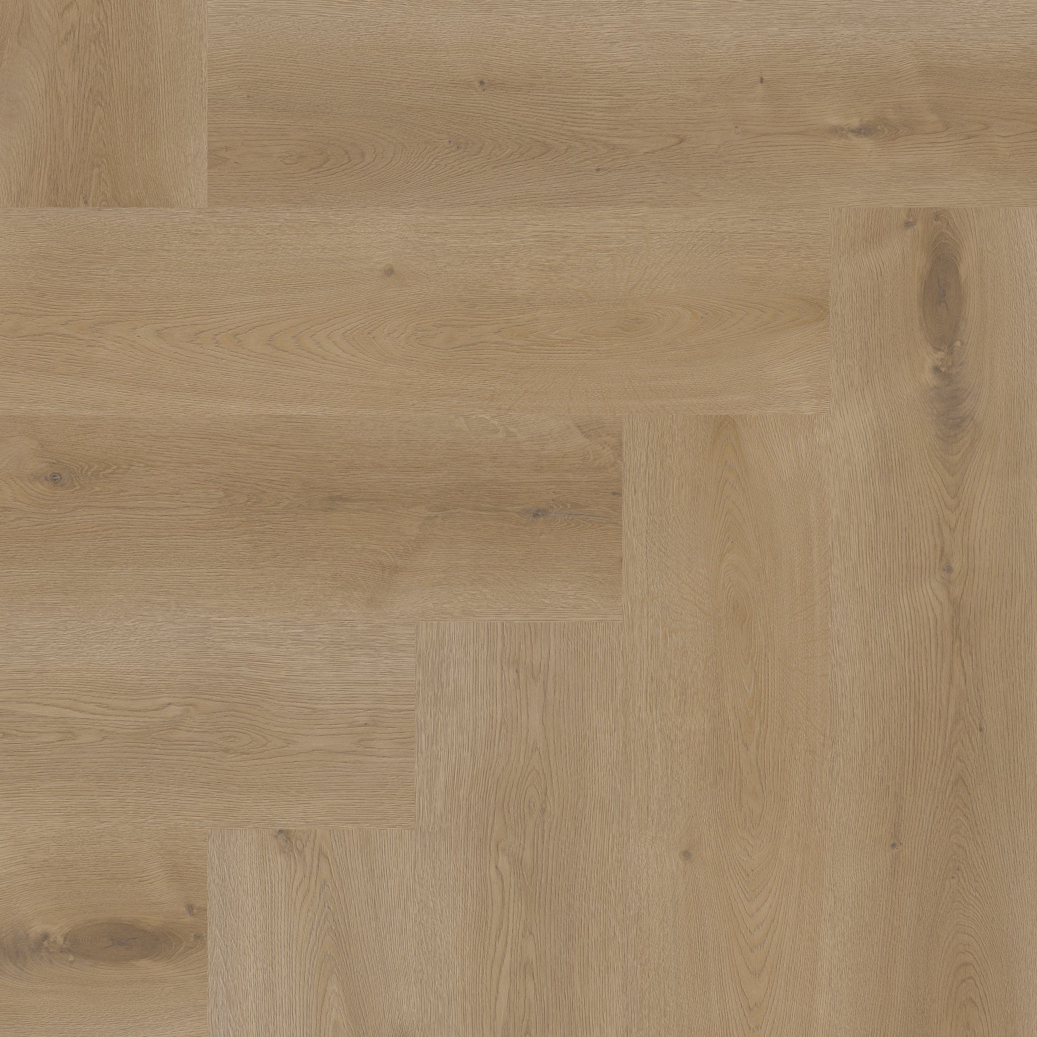 Texas Oak H54 - 50 LVRH 2454