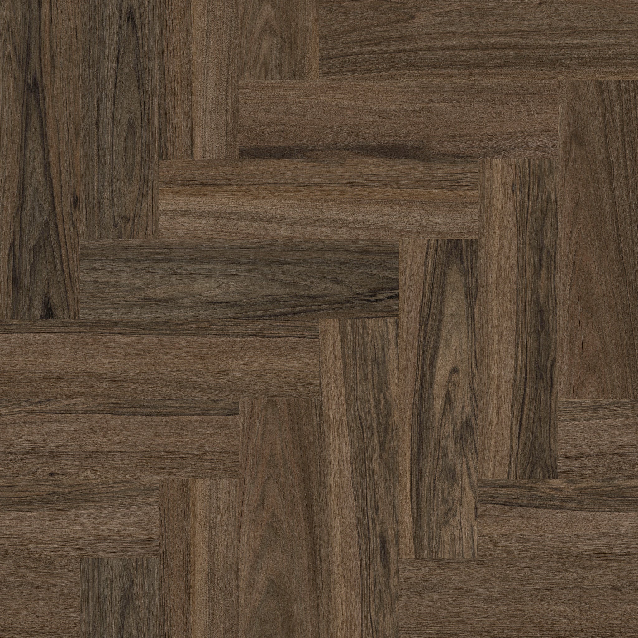Juglans - 50 LVRH 03088