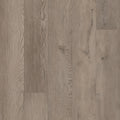 Belvoir - 50 LVREXL 2594