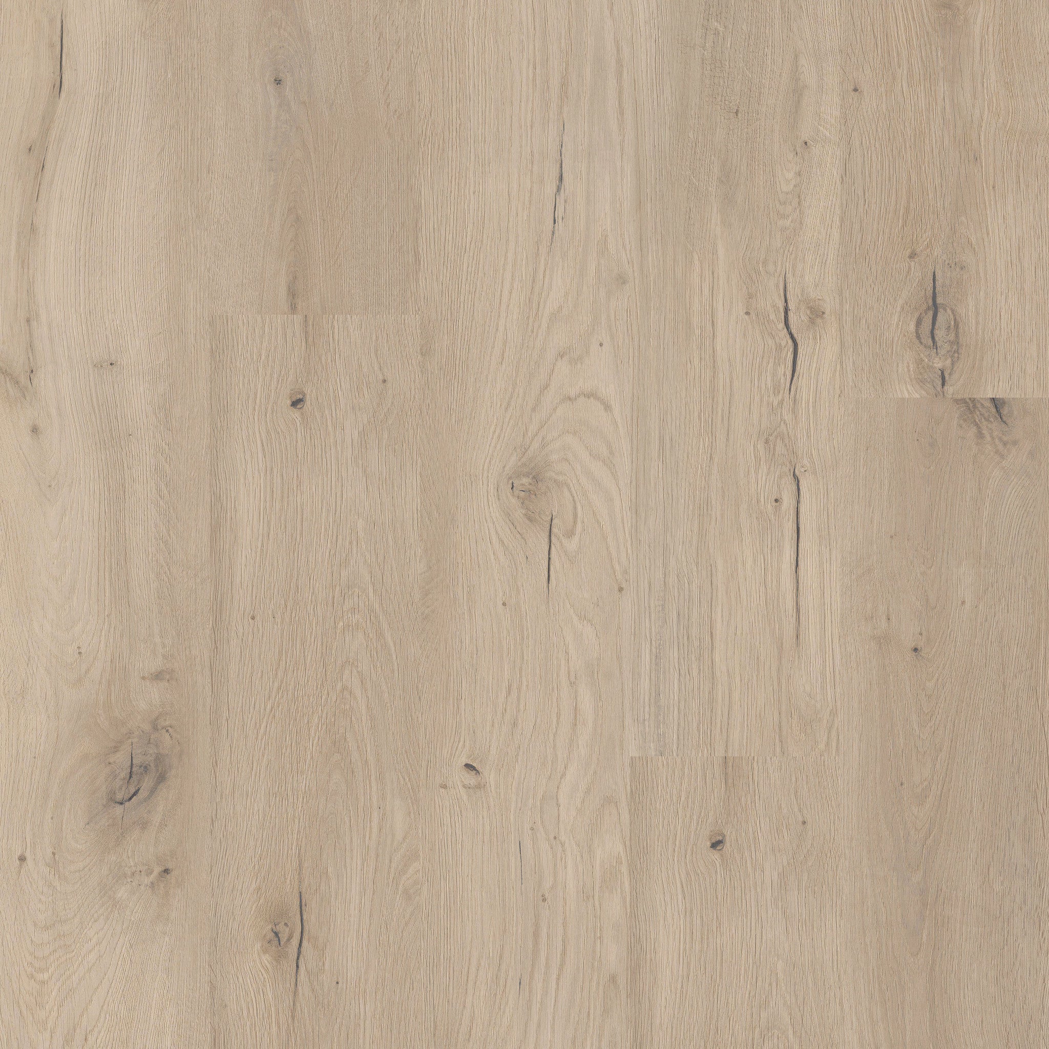 Forest - 50 LVP 806