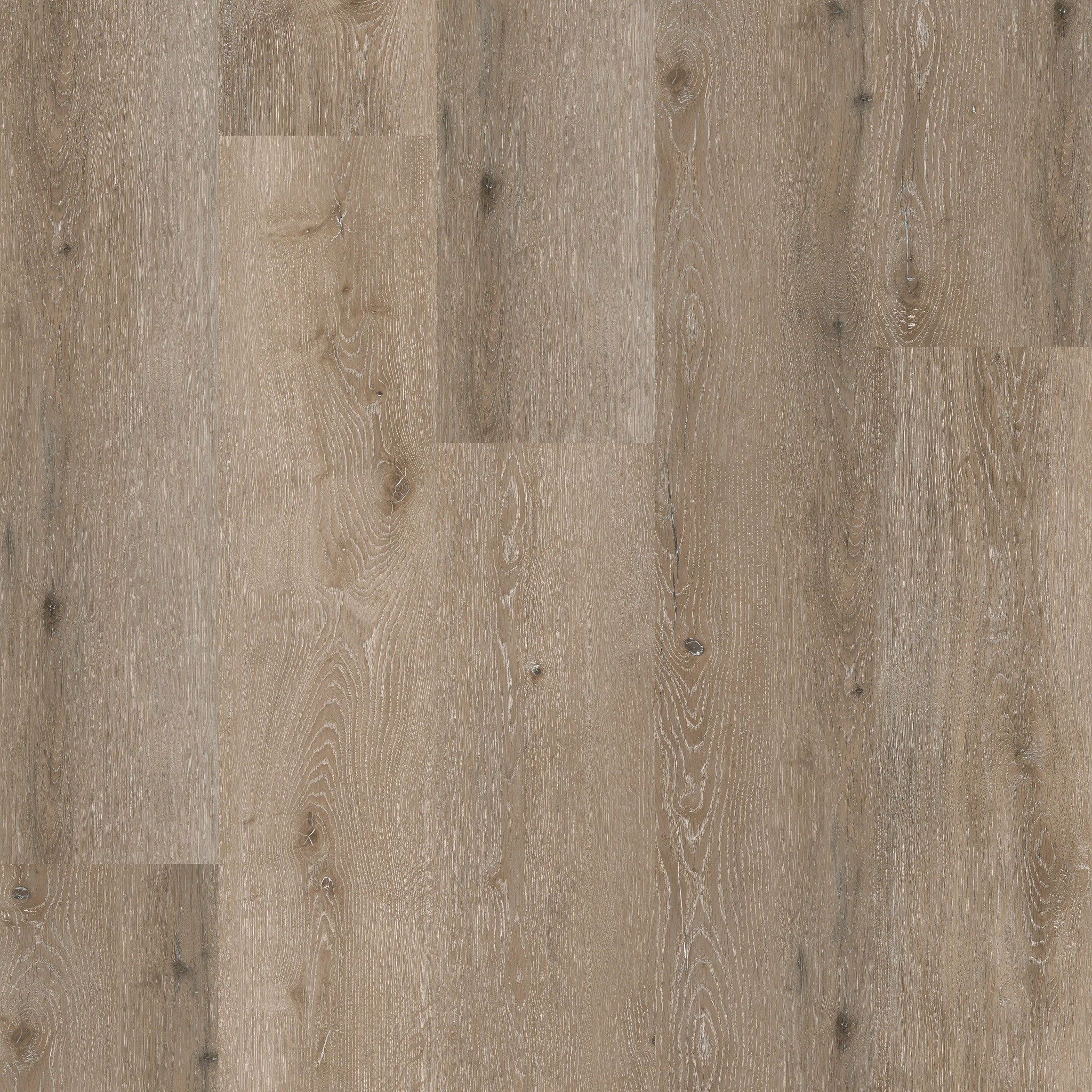 Noble Oak 55 - 50 RLV 3955