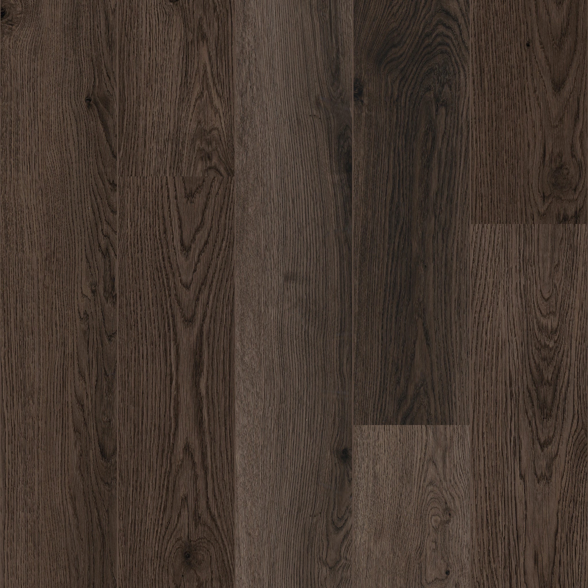 Munster Oak 88 - 50 LVRE 2388