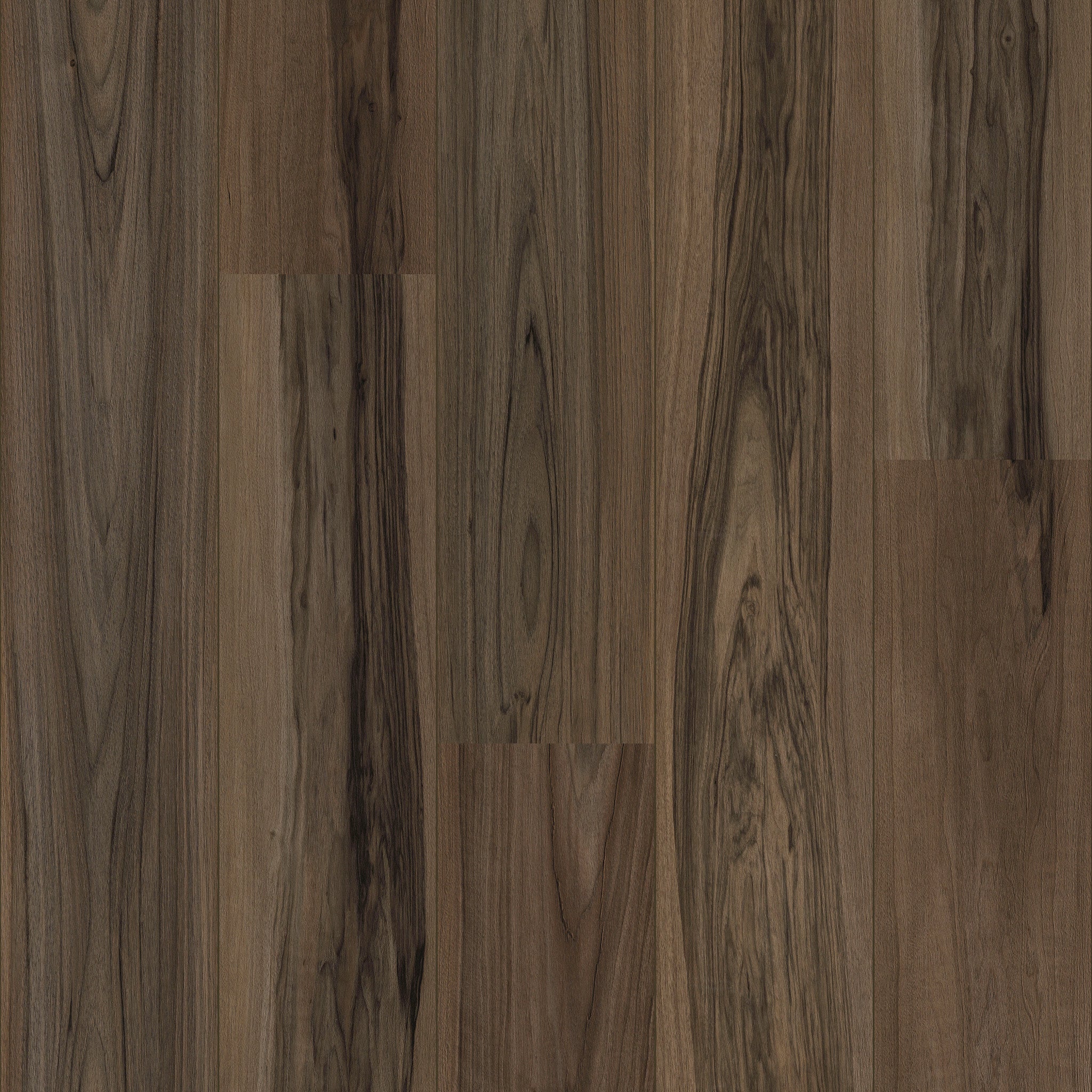 Juglans - 50 LVRE 3088