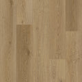 Munster Oak 53 - 50 LVRE 2353