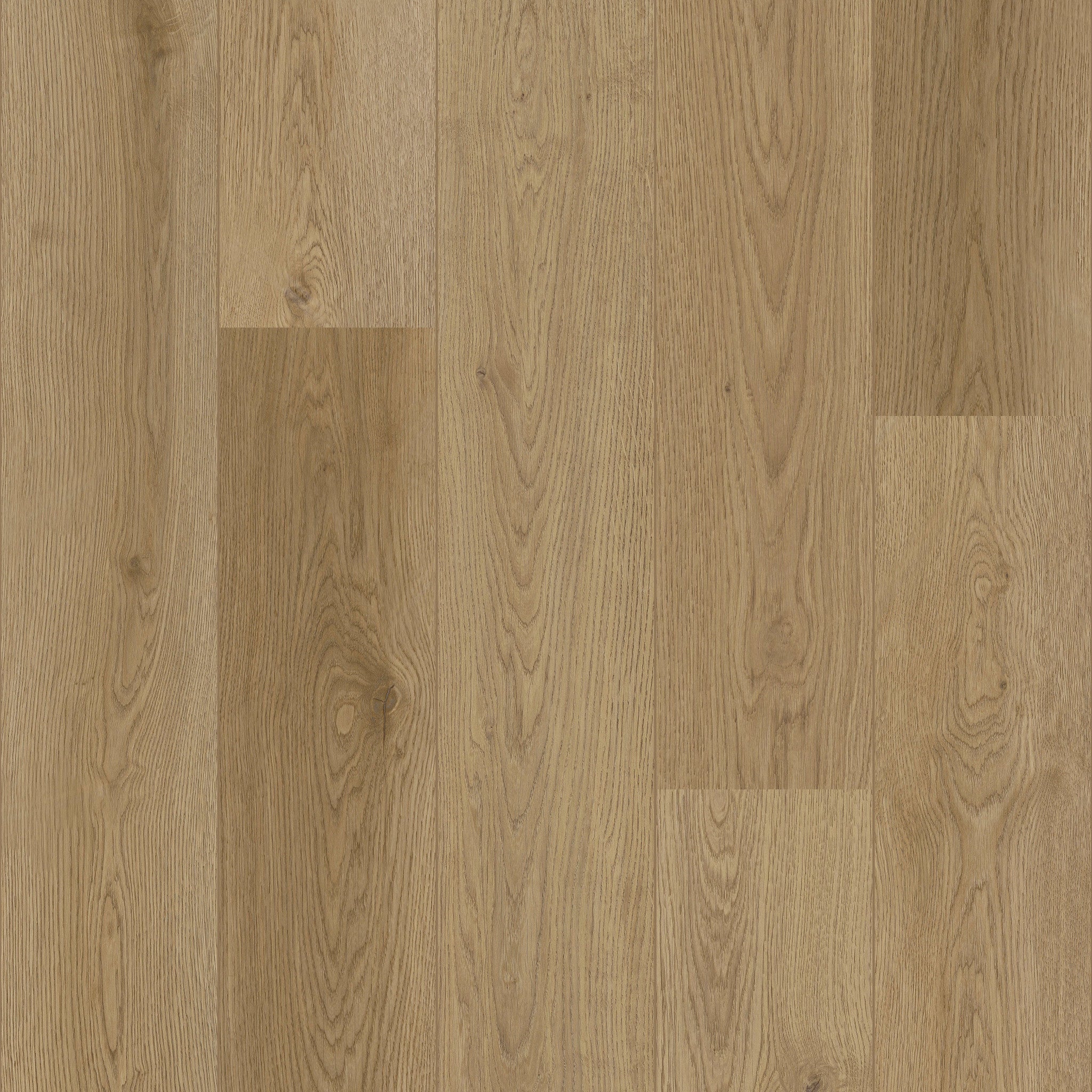 Munster Oak 53 - 50 LVRE 2353