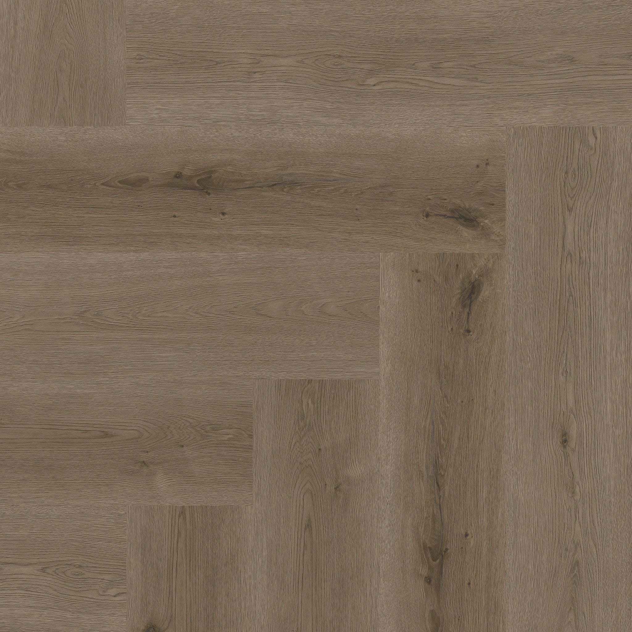Texas Oak H86 - 50 LVRH 2486