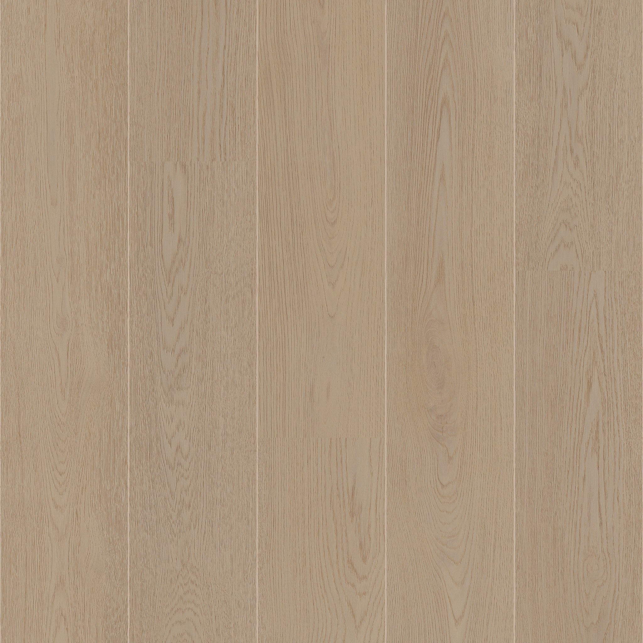 Barley - 50 LVRE 2754