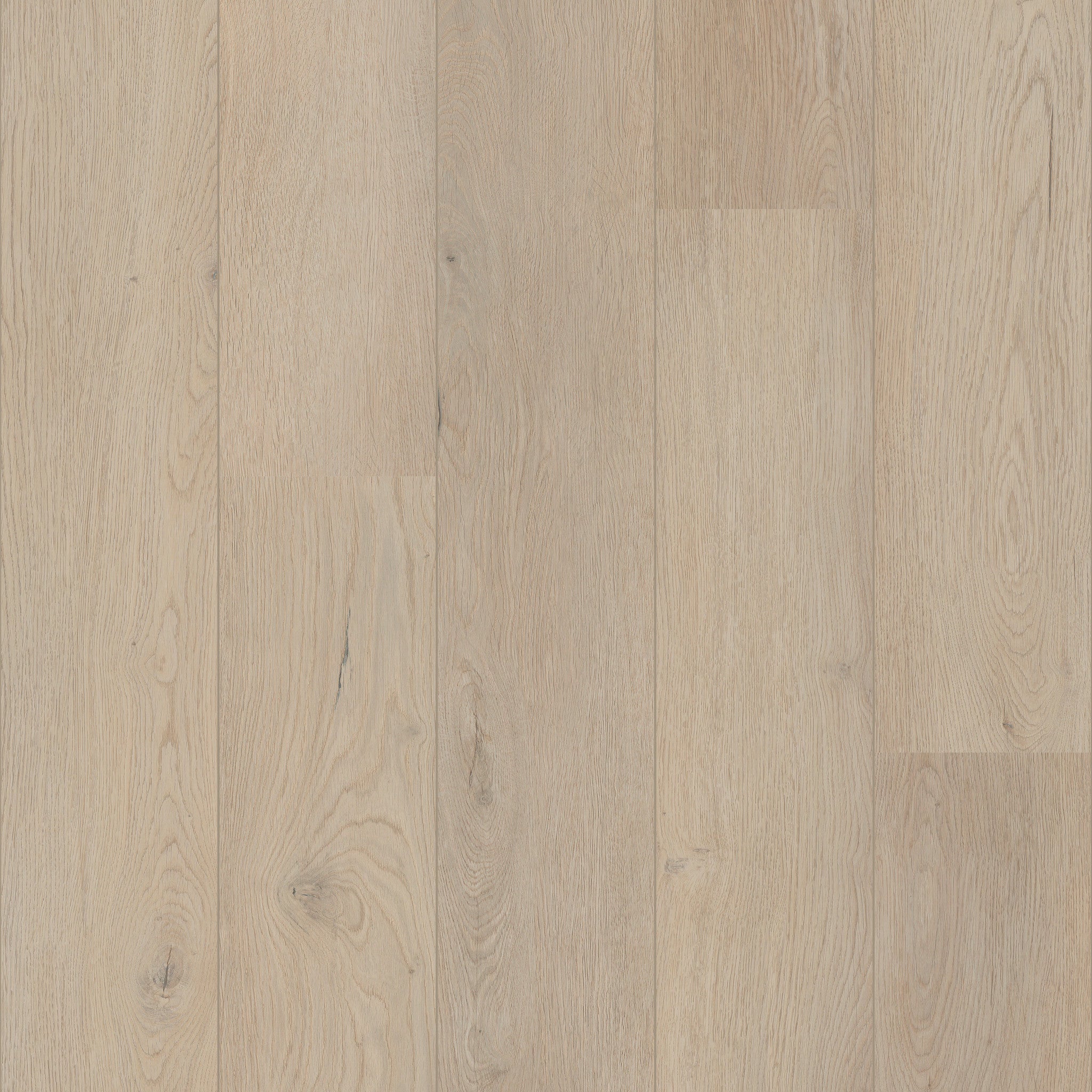 Flora - 50 LVRE 2554