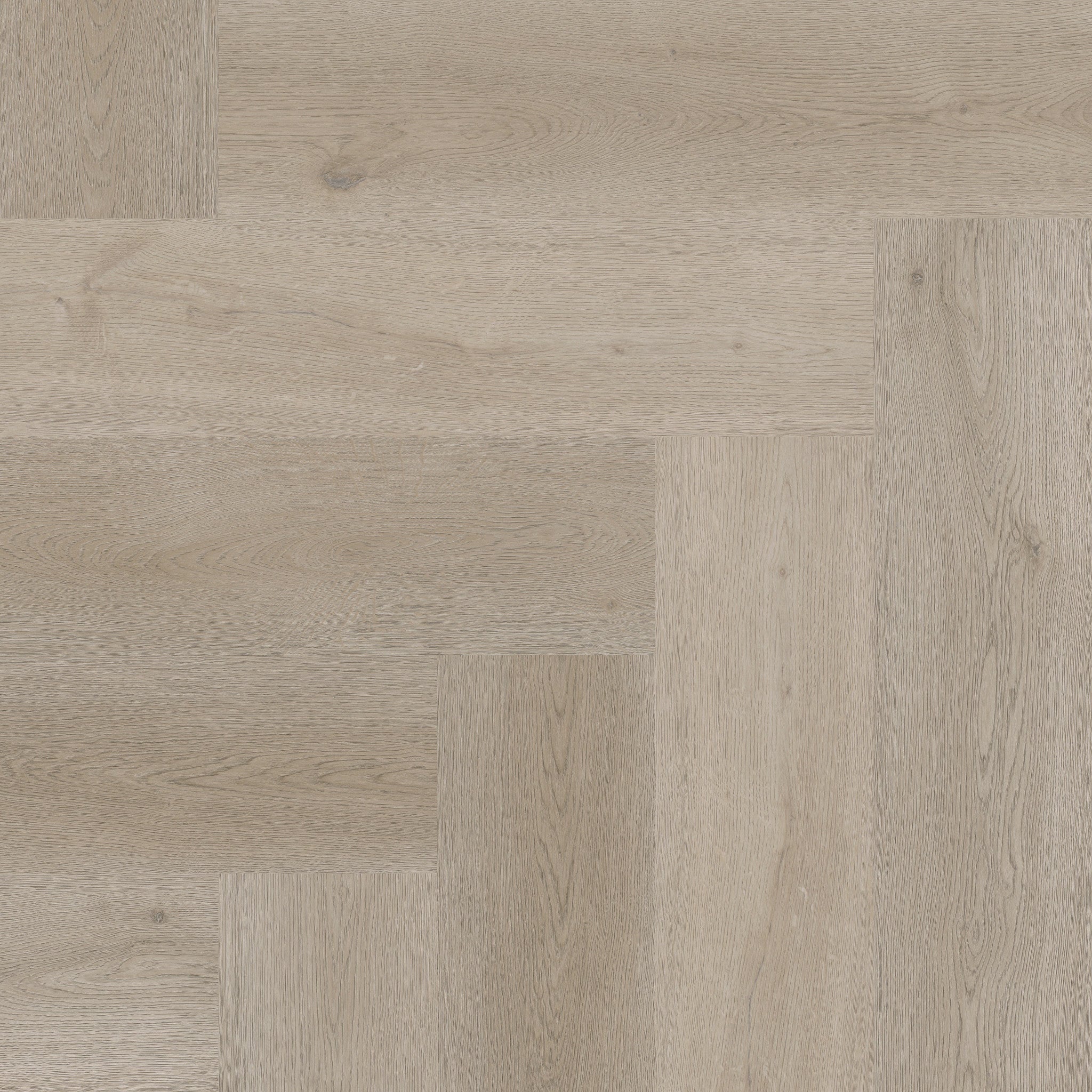 Texas Oak H71 - 50 LVRH 2471