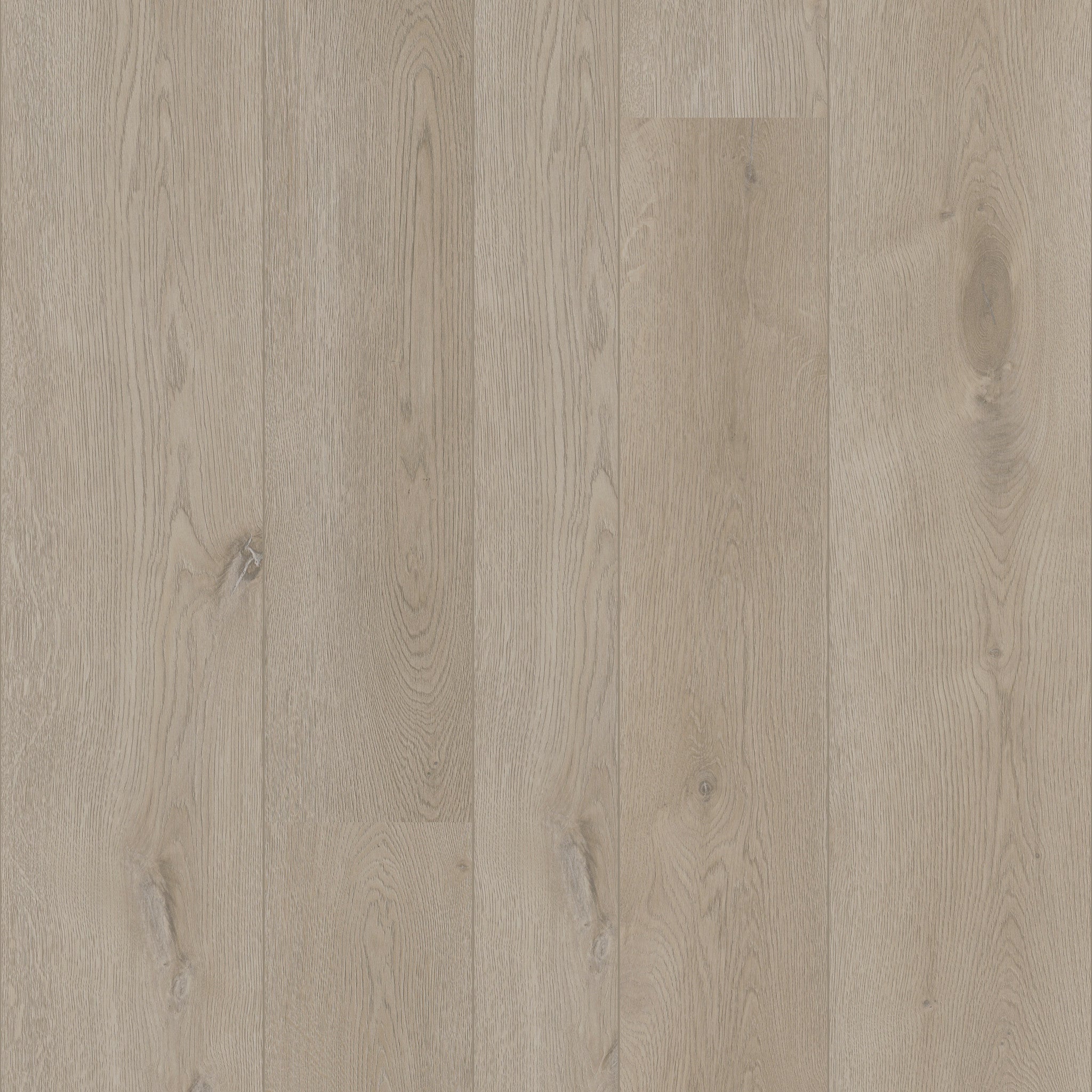 Texas Oak M71 - 50 LVREM 2471