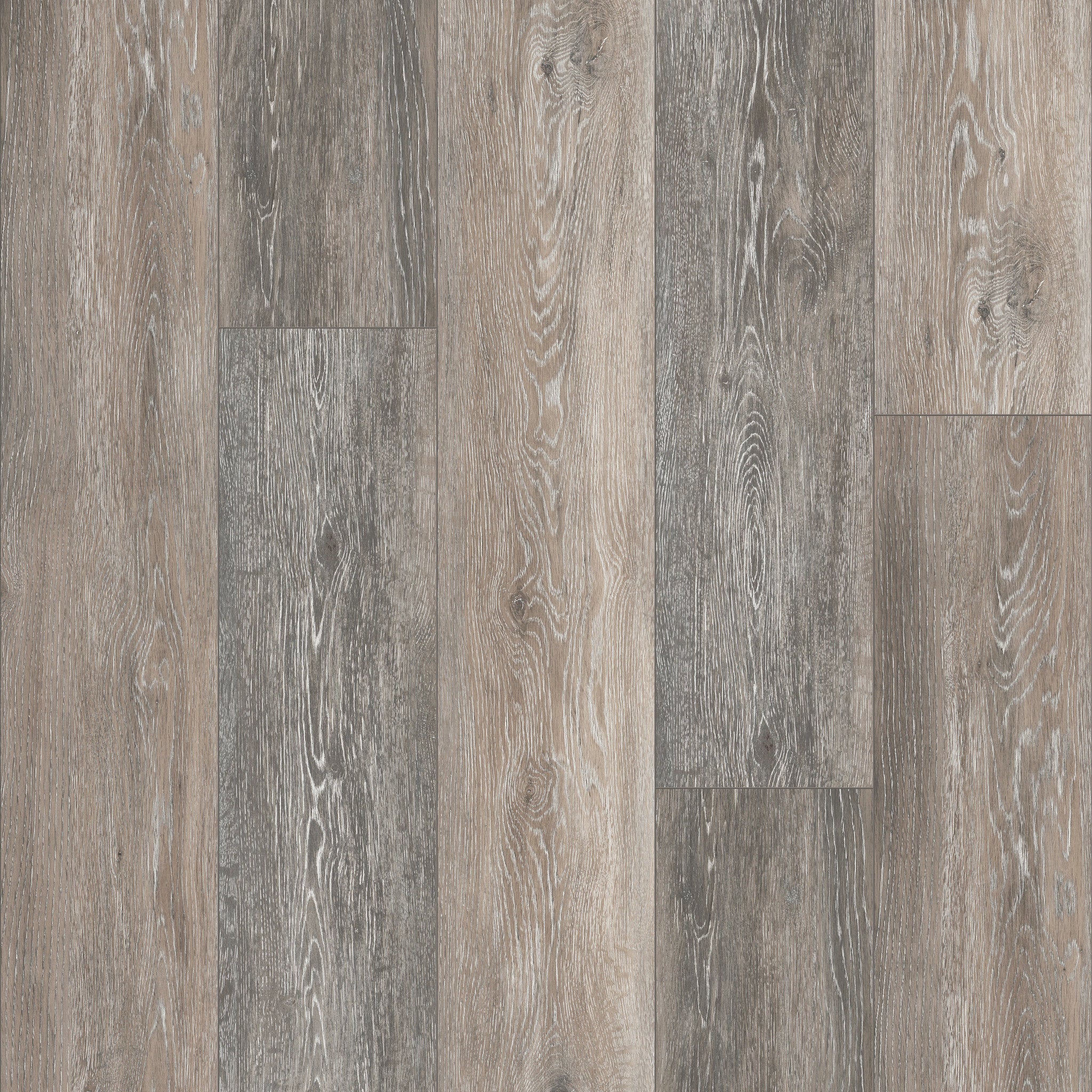 Ellis Oak 54 - 50 LVPE 954