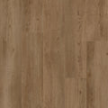 Baltimore Oak 66 - 50 LVRE 1266