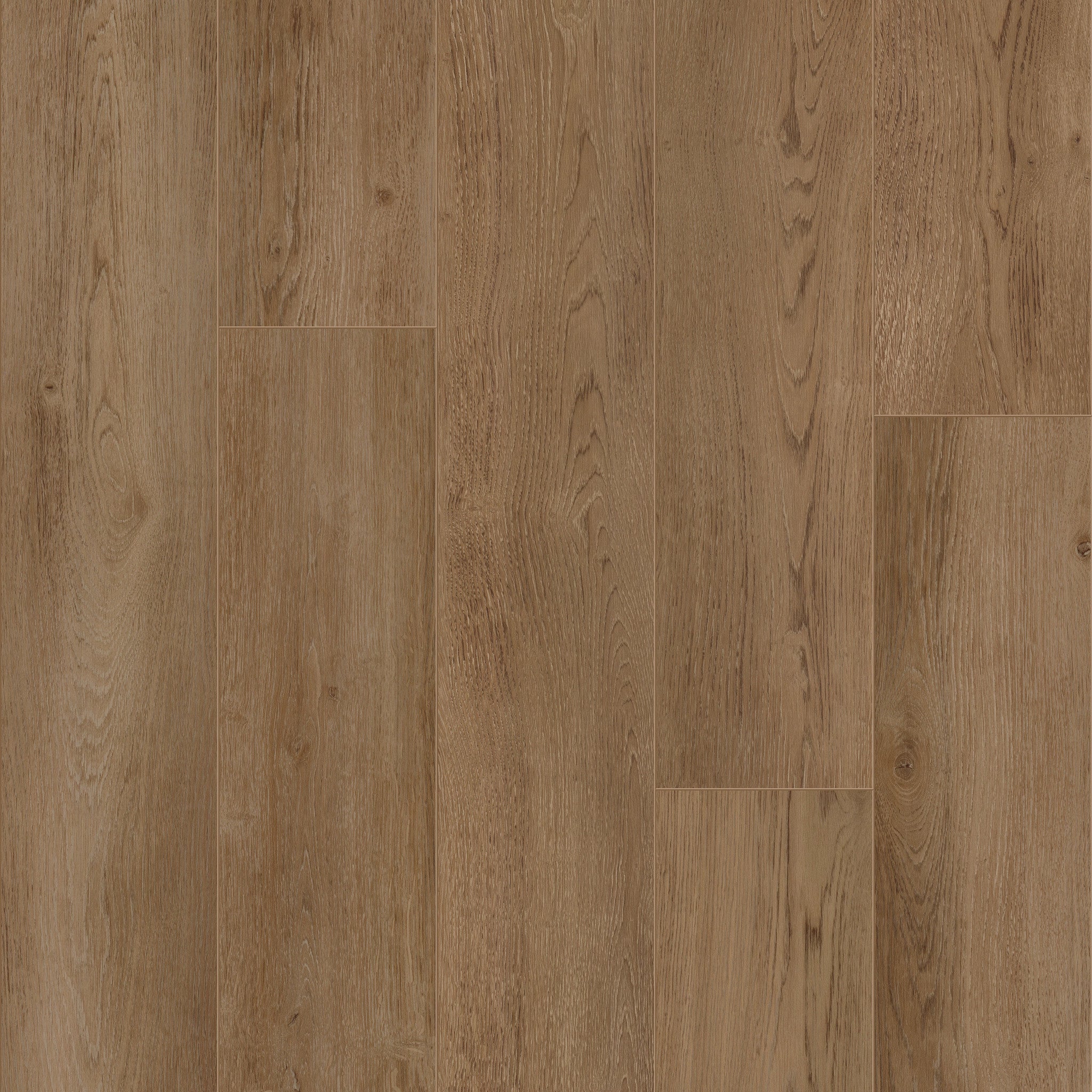 Baltimore Oak 66 - 50 LVRE 1266