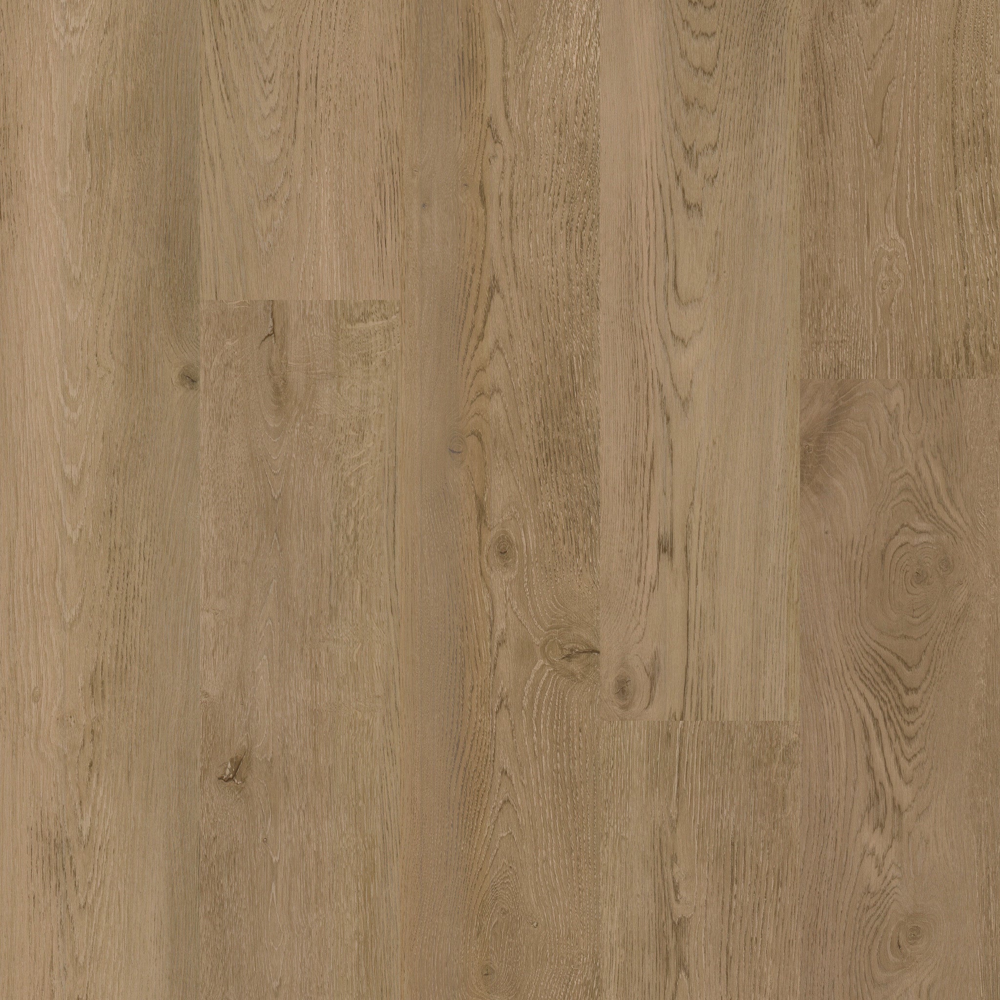 Baltimore Oak 54 - 50 LVP 1254