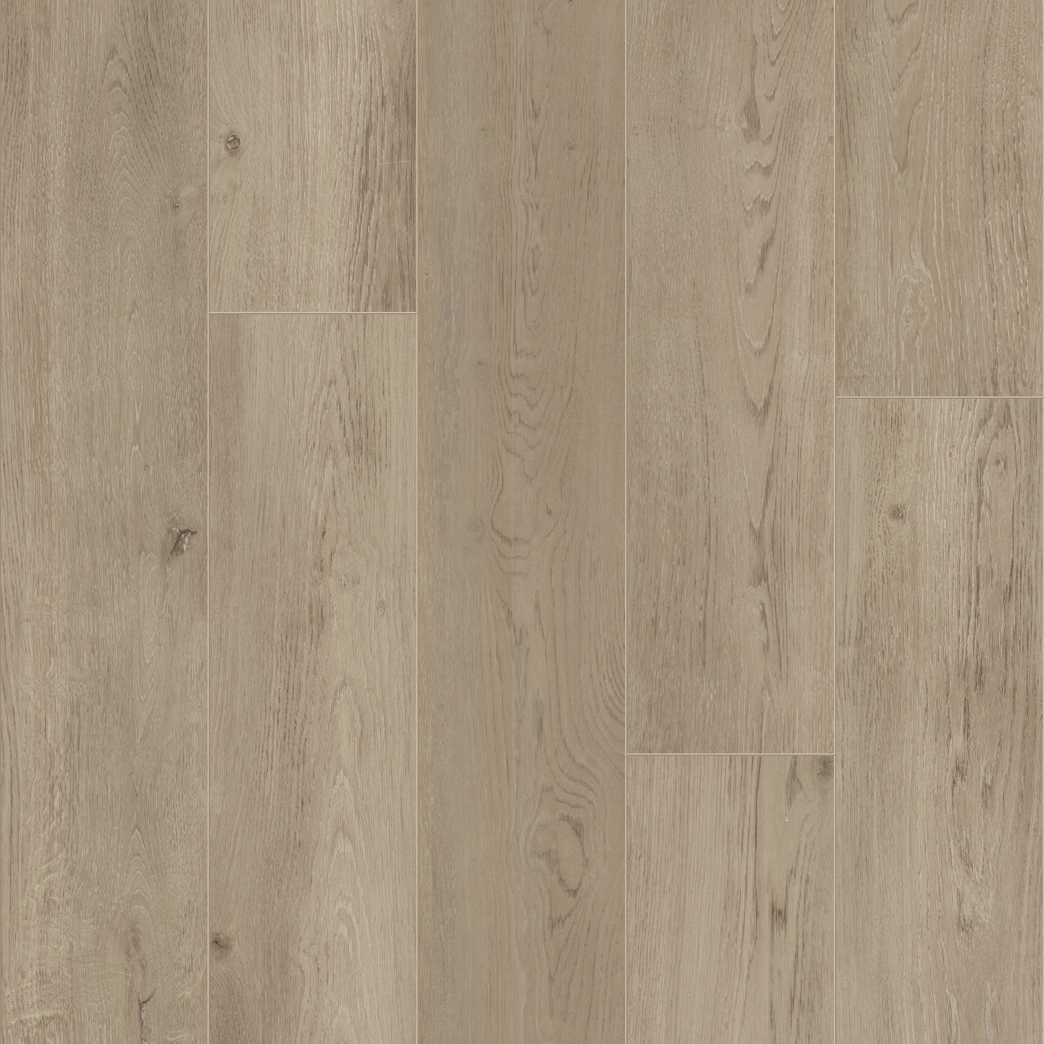 Baltimore Oak 77 - 50 LVRE 1277