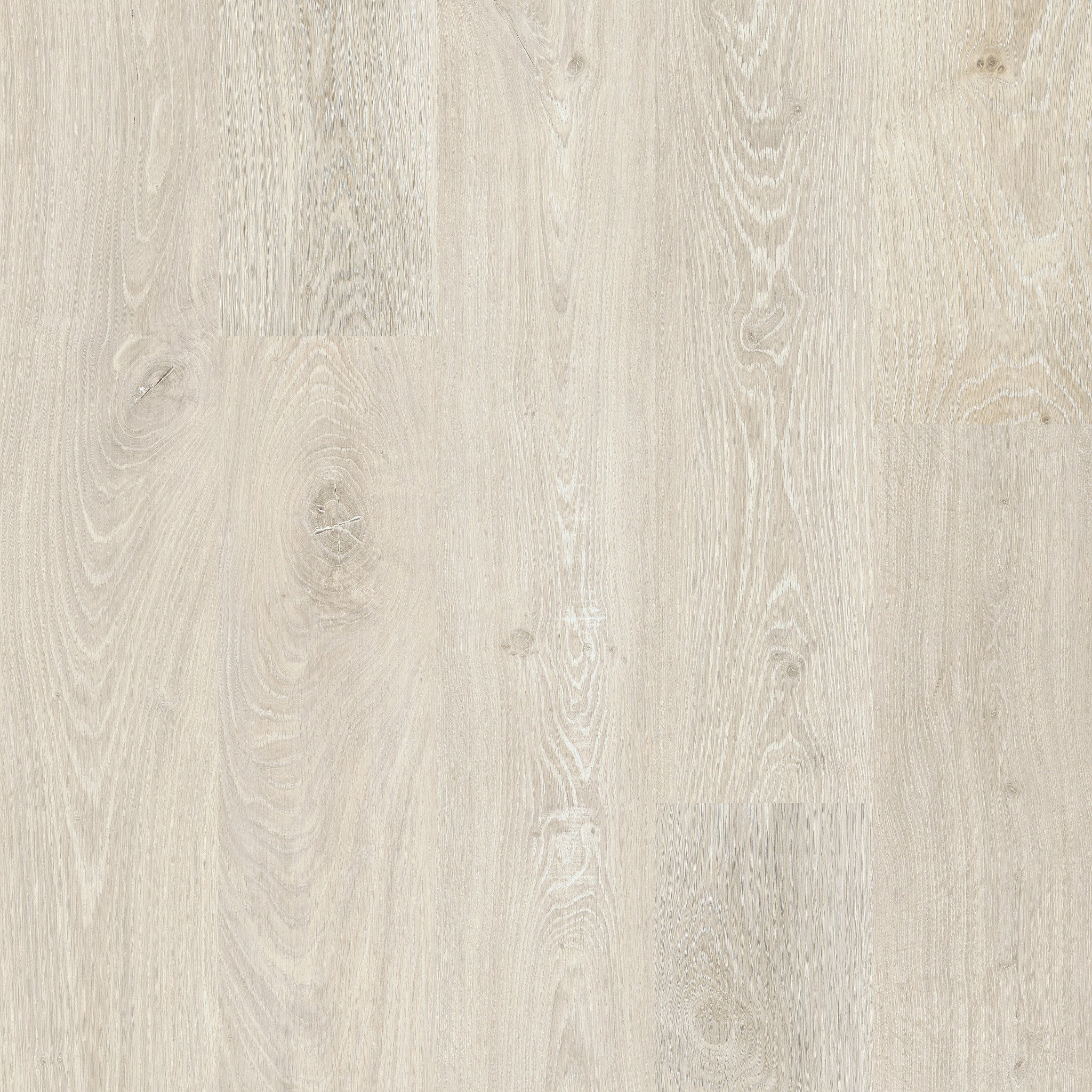 Boston Oak 03 - 50 LVR 1903