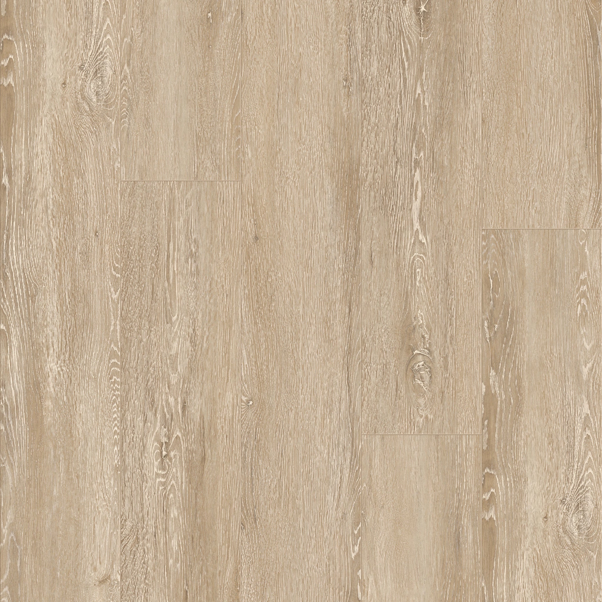 Warwick Oak 53 - 50 LVPE 953