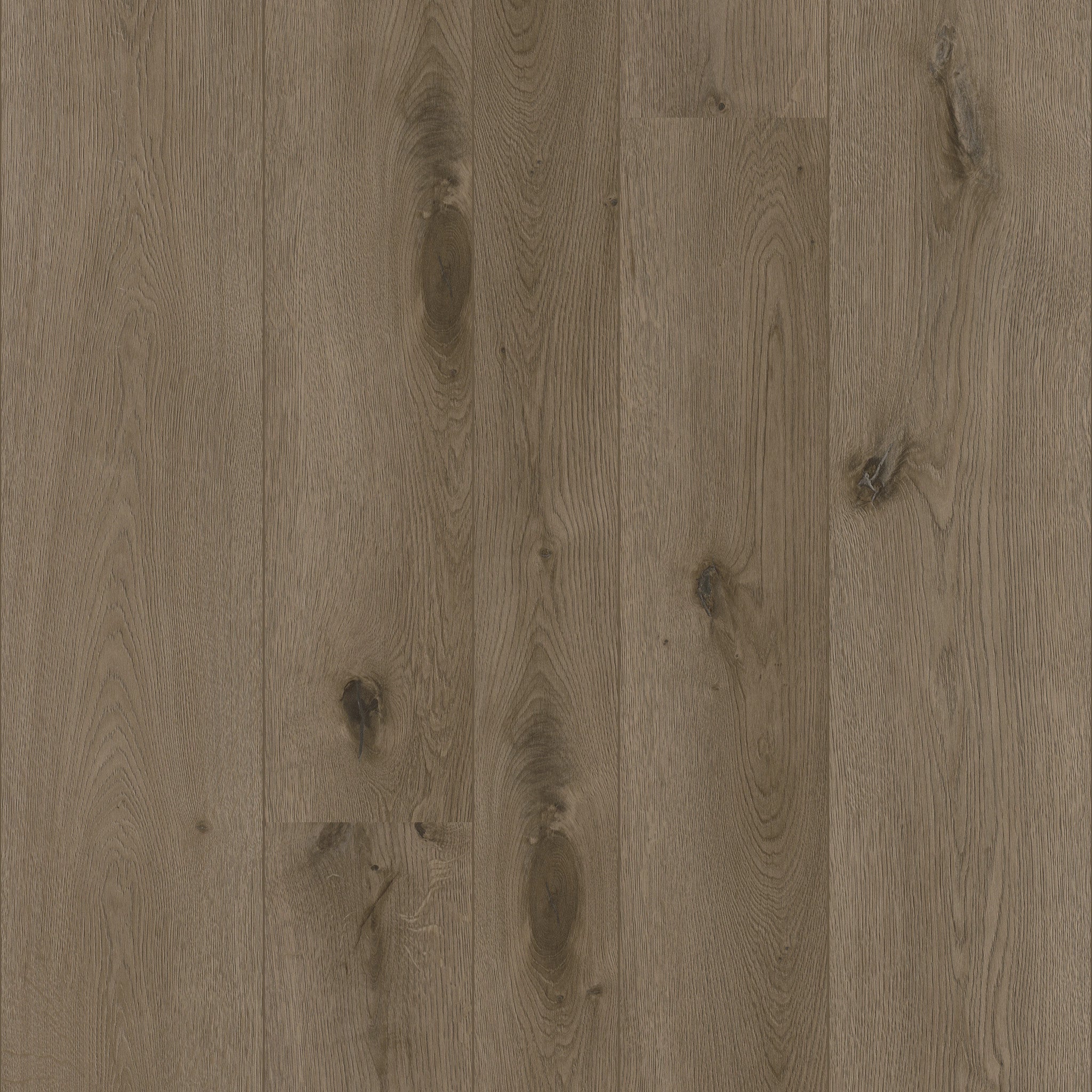 Texas Oak M86 - 50 LVREM 2486