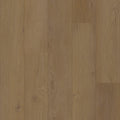 Sorrel - 50 LVRE 2556