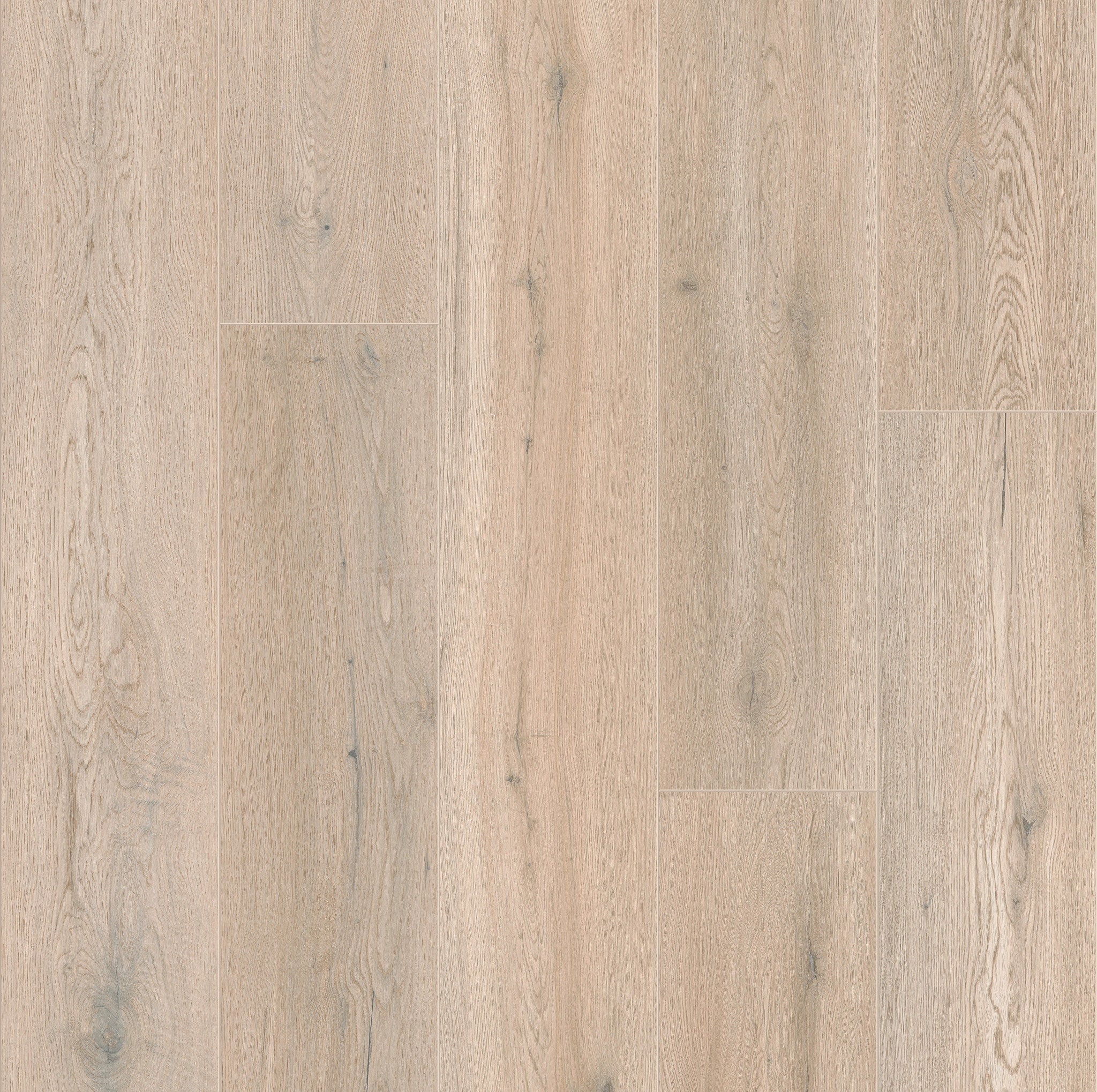 Cleveland Oak 62 - 50 LVPE 1462