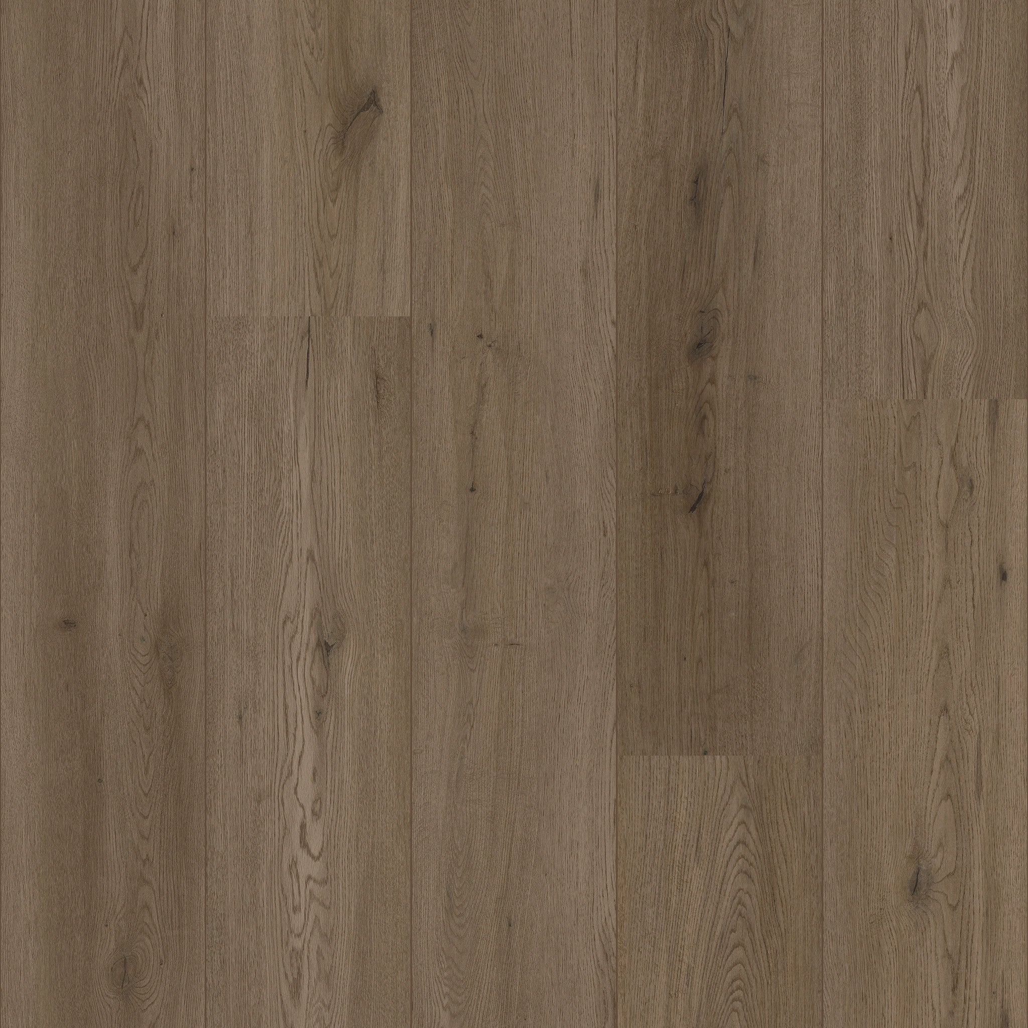 Cleveland Oak 86 - 50 LVRE 1486