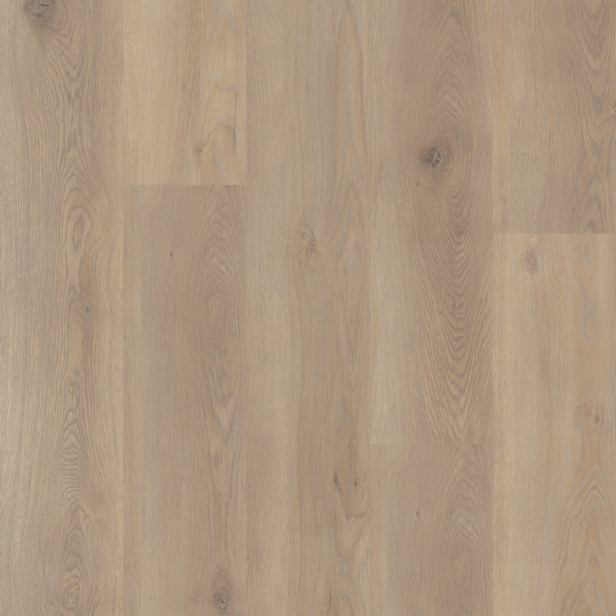 Meadow - 50 LVP 807
