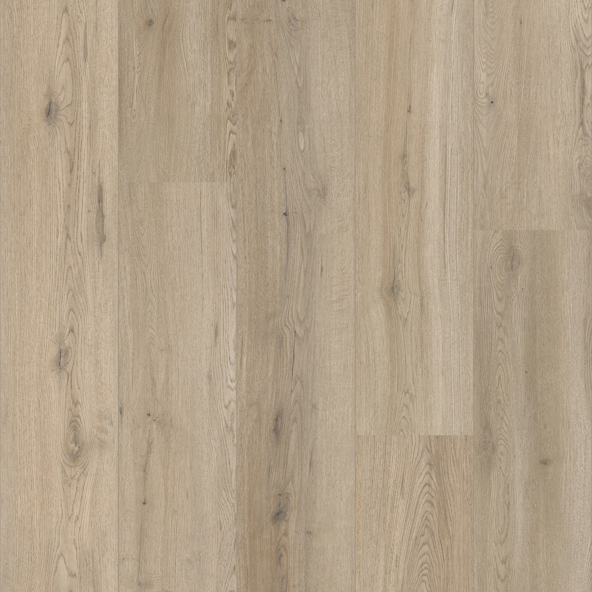 Cleveland Oak 52 - 50 LVRE 1452