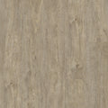 Waterton Lakes Oak 04 - 50 LVR 9604