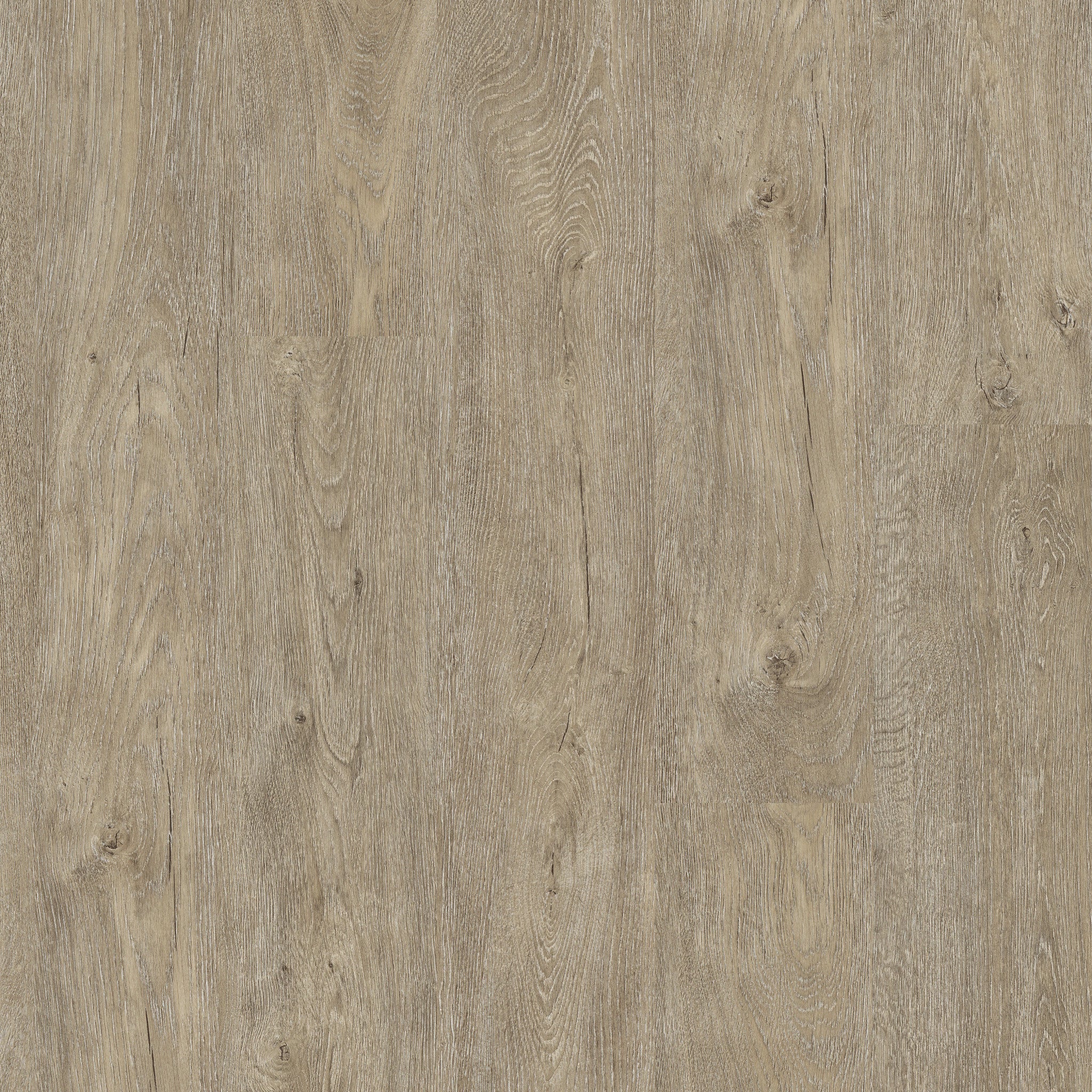 Waterton Lakes Oak 04 - 50 LVR 9604