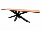 Buitentafel Deens ovaal guyana teak massief